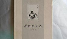 读《华瞻的日记》有感