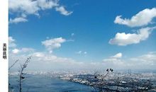 沉醉在温情的世界