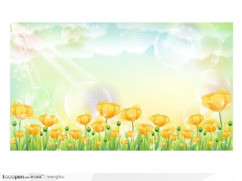阳光花