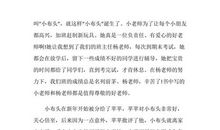 读《小布头奇遇记》有感