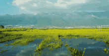春季郊游之美