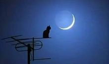 假如我是一个人