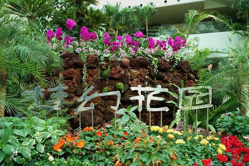 在我心中生长的花
