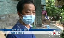 都是蜜蜂惹的祸