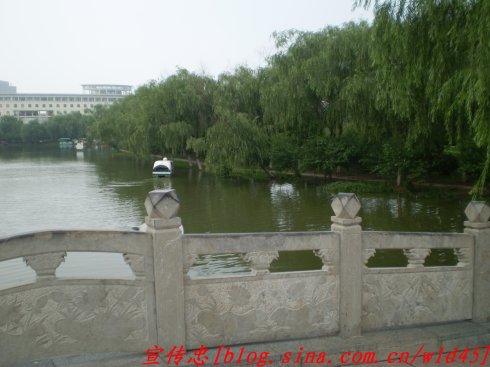 有苍无绿园