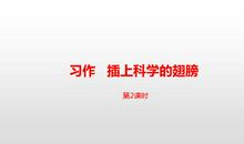 插上科学的翅膀