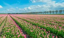 平凡也是一种美