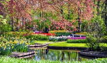 沉醉在雨的世界