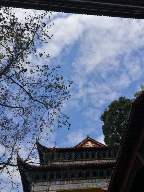我眼中的美丽