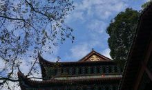 我眼中发现的美