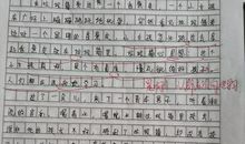 我们眼中的缤纷世界作文三年级