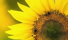 一段惊喜的旅程