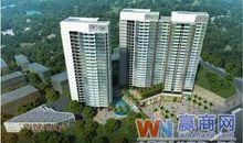 走在深圳的春天里