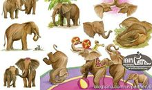 我喜欢的动物大象