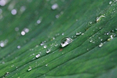 雨中的温暖