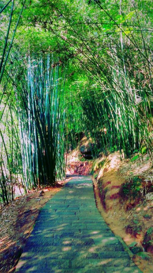 美丽的四东沟