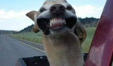 我的心里有点兴奋