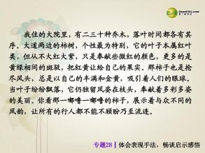 阅读的灵感