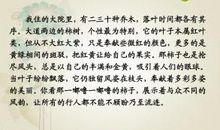 阅读给我的启示