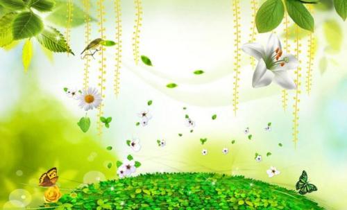 保护校园环境的建议