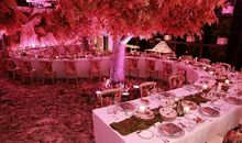 森林里的悄悄话