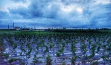 我在家乡看太阳