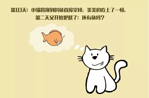 小兔子的启示