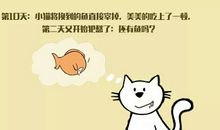 小兔子给我的启示