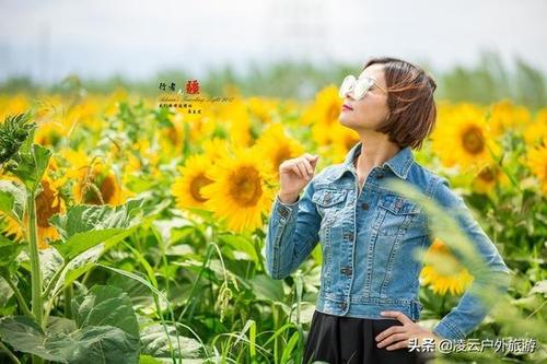 我会绽放
