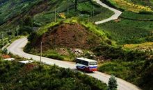 我与“樱桃”有个约会