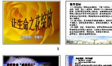 真善美，从珍惜生命开始