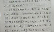 四年级可爱的小鸡观察日记