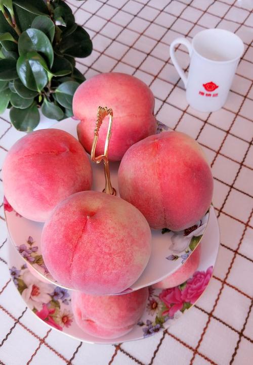 陶记
