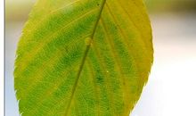 永驻心间的那缕阳光