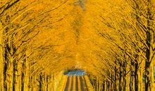 回首的那一瞬间