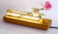 一份意外的礼物