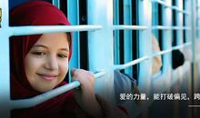 小萝莉的猴神大叔观后感