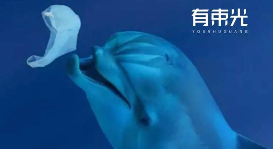 塑料袋的自述文件