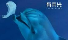 一只塑料袋的自述