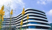 在规则面前，我……