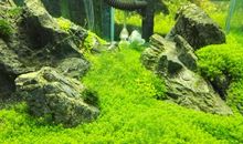 永不可磨灭的记忆