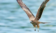 宁静也是一种姿态