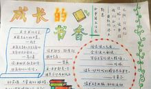 我的成长的伴侣书作文