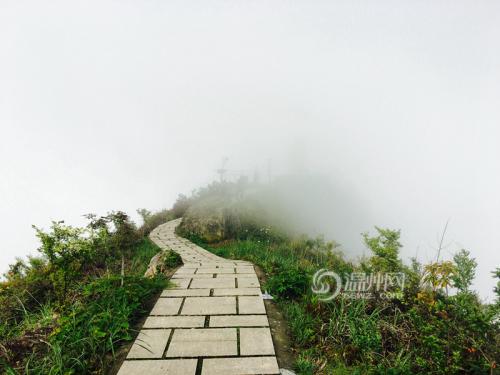 我的家乡五牛