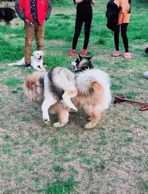 踢人哭使我尴尬