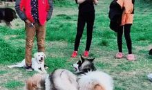 把人踢哭使我难堪