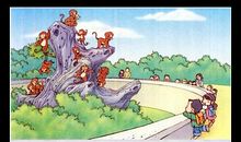 小猫照镜子看图写话