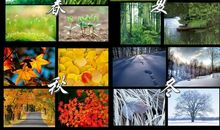 四季颜色