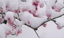 你是寒风中的一丝温暖