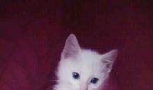 我家的活宝表弟